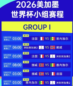 2026世界杯预选赛精彩画面